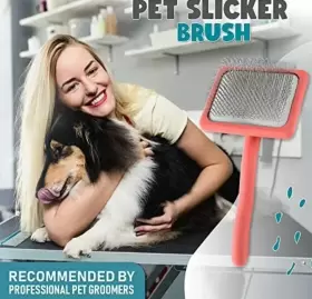703355869499 577-B08LD27PZJ-B1 Pet Slicker Brush Massage Pins