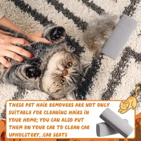 445037591580 ABBYLIKE Pet Hair Remover Remove Pumice Stone #3