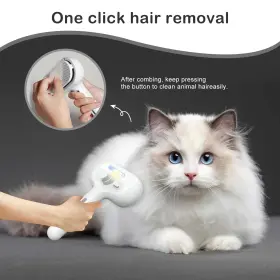 AKIHATORII-240126-001 AKIHATORII Cat Steam Brush Shedding #2