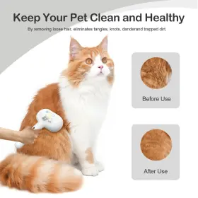 AKIHATORII-240126-001 AKIHATORII Cat Steam Brush Shedding #3