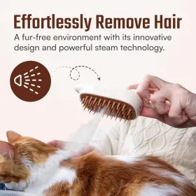 313093713796 AKOTRON Cat Steam Brush Rechargeable Hair Comb #2