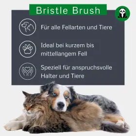 047181169126 ALCOTT Groom Bristle Brush Natural Boar #2