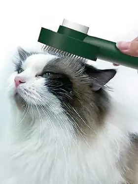717522934972 AWPLAND Deshedding Dog Brush Cleaning Loose Hair #3