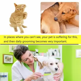 414759972563 BENSEAO Cat Comb Dog Pet Set Remo #2