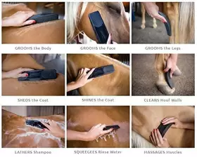 445015188139 BETTYS BEST STRIPHAIR Gentle Groomer Horses Dogs #3