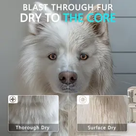 768556664106 BLANLODY Dog Hair High Velocity Blow Dryer Pet #3