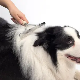 744759341020 BRANDED01 Undercoat Rake Dogs Pack Double Coat #2