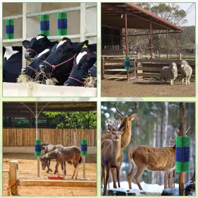 705353924279 BSHOME Livestock Scratching Brush Goat Brushes #2