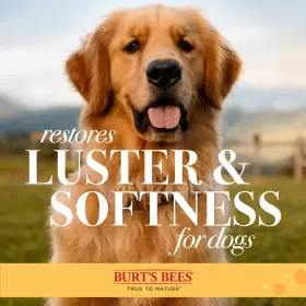 FFP9720 BURTS BEES Pets Palm Slicker Dog Brush #3