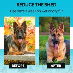 060785430138 CANDURE Pet Dog Brush Shedding Effective Hair #3