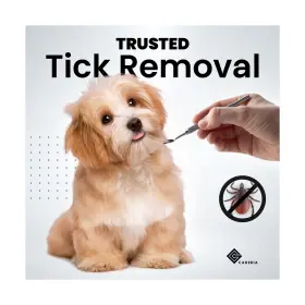 860010346808 CAREBIA Steel Dog Tick Remover Tool Set Pet Cats #3