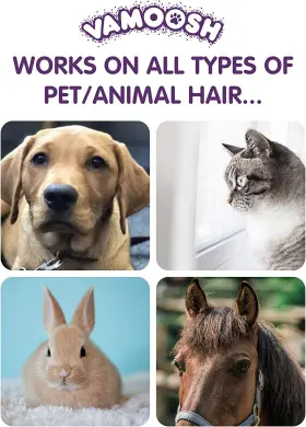 744759741189 CARES LABORATORY LIMITED Vamoosh Pet Hair Box #2