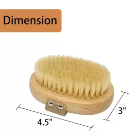 711181567496 CASIDOXI Bristle Dog Brush Haired Cats Elastic #2