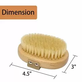 714422017071 CASIDOXI Bristle Dog Brush Haired Cats Elastic #2