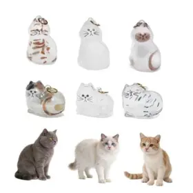 DF111 CAT HAIR KEYCHAIN Transparent Pet Storage Keychains Fur