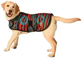 300607 CHJQN Dog Coats #2