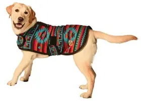 300607 CHJQN Dog Coats