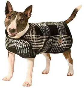 300608 CHJQN Dog Coats #2