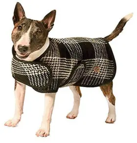 300608 CHJQN Dog Coats
