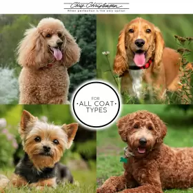 819774012658 CHRISTENSEN Chris Baby Dog Slicker Brush Groom #2