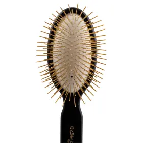 A035G CHRISTENSEN Chris Pin Dog Brush Groom Pla
