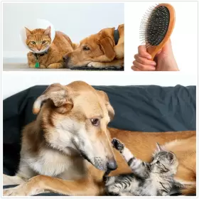 744759064615 CLUMSY PETS Dog Cat Ball Pin Slicker Brush #2