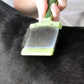 015568933233 COASTAL Pet Safari Dog Flexible Slicker Brush #3