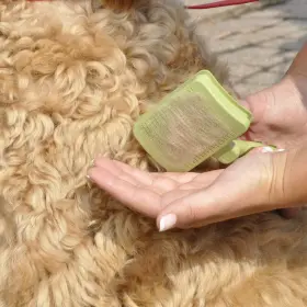 074748324728 COASTAL Pet Safari Dog Cleaning Slicker Brush #3