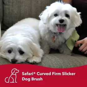 076484946202 COASTAL Pet Safari Curved Firm Slicker Dog Brush #2