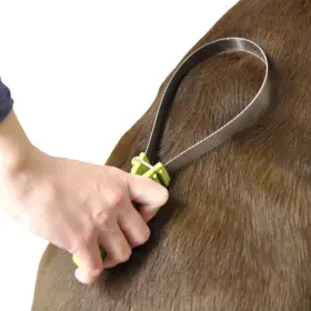 17551302 COASTAL PET Safari Dual Shedding Blade #2