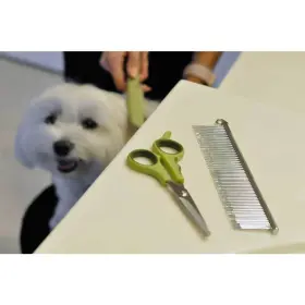 W558-NCL00 COASTAL PET Safari Dog Comb #2
