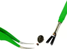 711181710038 LEATHER Com Tick Remover Steel Tweezers Kit #3