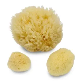 11261091 CONSTANTIA PETS Sea Sponges Dogs Canine Bath Care #2
