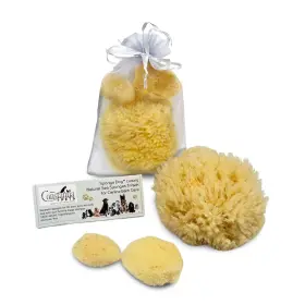 11261091 CONSTANTIA PETS Sea Sponges Dogs Canine Bath Care #3