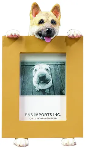 875623007015 ES PETS Akita Frame Favorite
