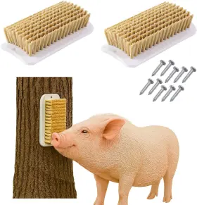 25.01.14 ENCC Enrichment Toy Brush Mini Pigs