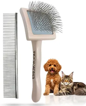 793931626158 ENUKYCOM Dog Slicker Brush Toy Poodle Doodles