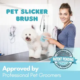 195893454815 FLYING PAWFECT Pet Slicker Brush Massage Steel #2