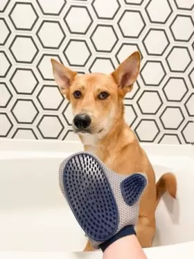 045663970987 FOUR PAWS Magic Coat Brushes Dogs Cats #2