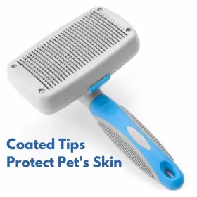 855808006361 FRESHLY BAILEY Cleaning Slicker Brush Top Dog #3
