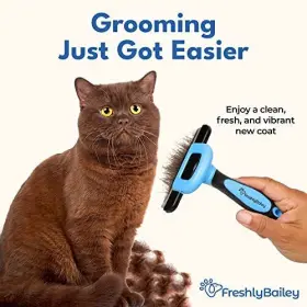 855808006392 FRESHLY BAILEY Deshedding Brush Haired Cat Dog #3