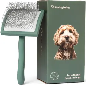855808006507 FRESHLY BAILEY Doodle Brush Goldendoodle Poodle