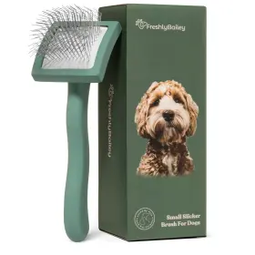 855808006569 FRESHLY BAILEY Doodle Brush Goldendoodle Poodle