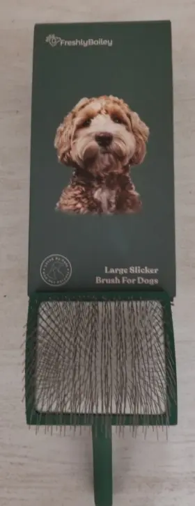 X004504LPD FRESHLY BAILEY Doodle Brush Goldendoodle Poodle