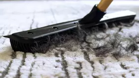 1782A6-AMZ FUREMOVER Pet Hair Remover Broom #3