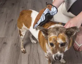 714415077273 FUREMOVER Pet Mitt Dog #2