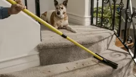 714415578305 FUREMOVER Pet Hair Removal Broom #3