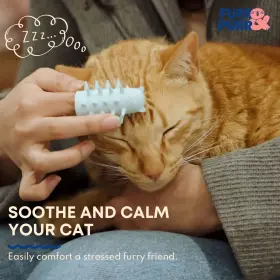 196852085743 FURR PURR Cat Brush Set Tools Scratcher Calming #3
