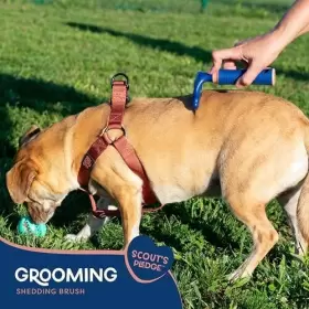 044021380222 GOOD SCOUT Pet Hair Rake Deshedding Tool Gentle #3