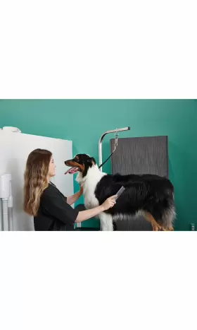14987 GROOMER ESSENTIALS Comb #2